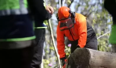Akçakoca’da Orman İşletme Şefliği Eğitim Tatbikatı Gerçekleşti