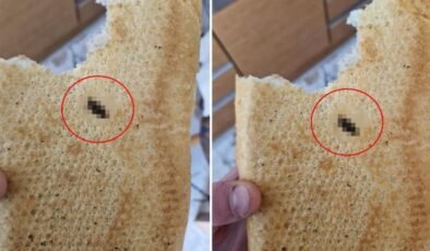 Vatandaşa satılan ekmeğin içinden çıkana bakın