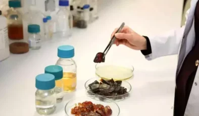 Bursa Teknik Üniversitesi’nden Çevre Dostu Ambalaj Projesi