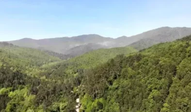 Çanakkale Ormanlarında Yangın Riski Nedeniyle Giriş Yasaklandı